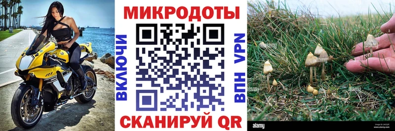 Галлюциногенные грибы прущие грибы  MEGA вход  Малмыж 